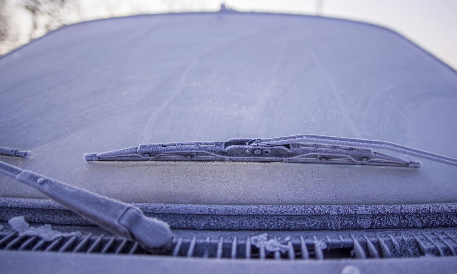 causes of windshield damage and how to prevent them