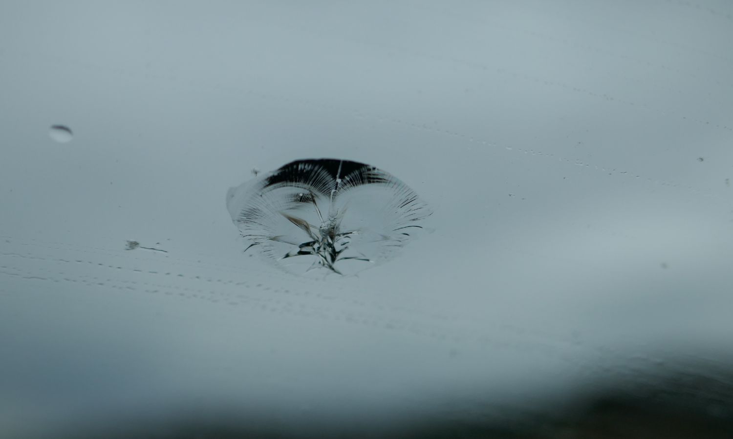 Rock Chip Repair in Spanaway: Stop Windshield Damage Before It Spreads