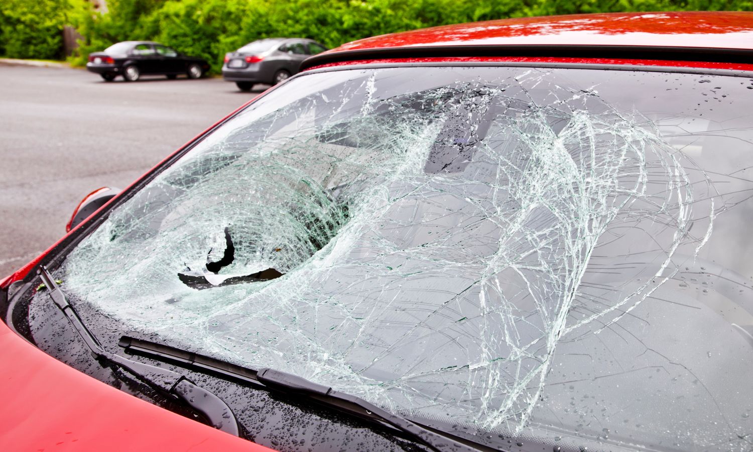 Windshield Replacement in Puyallup: Trusted Local Auto Glass Service Done Right